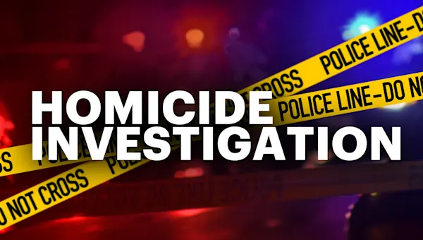 Woman fatally stabbed in Highbridge; 2 people of interest in custody