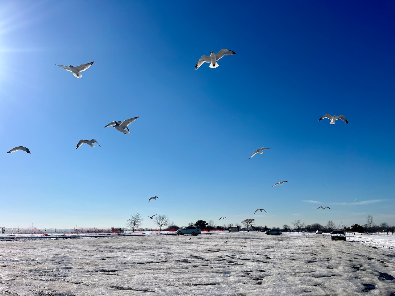 Snow and ice at parks on Staten Island