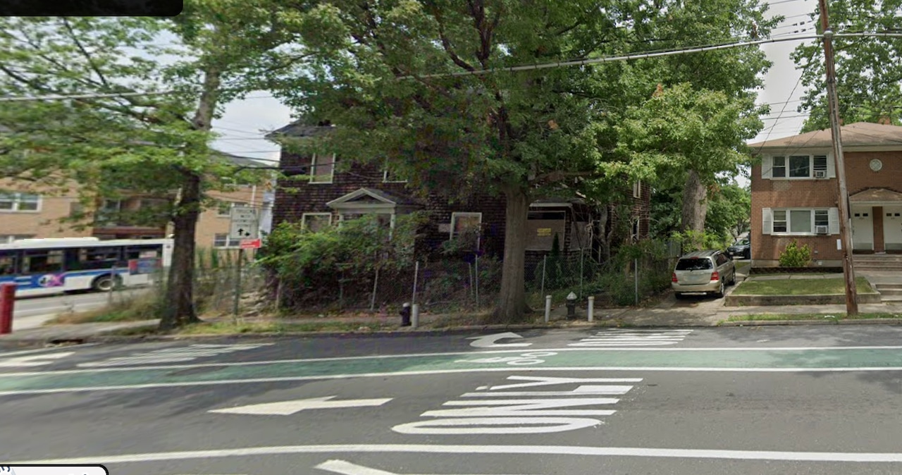 Forest and Clove, whats next?