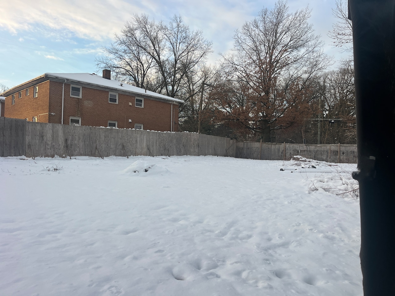 Forest and Clove, whats next?