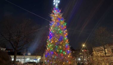 Bronx’s Little Italy held their annual tree lighting ceremony to kick off the holiday season – Bronx Times