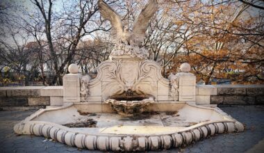 How a Dolphin Led Me to a Scandalous Story