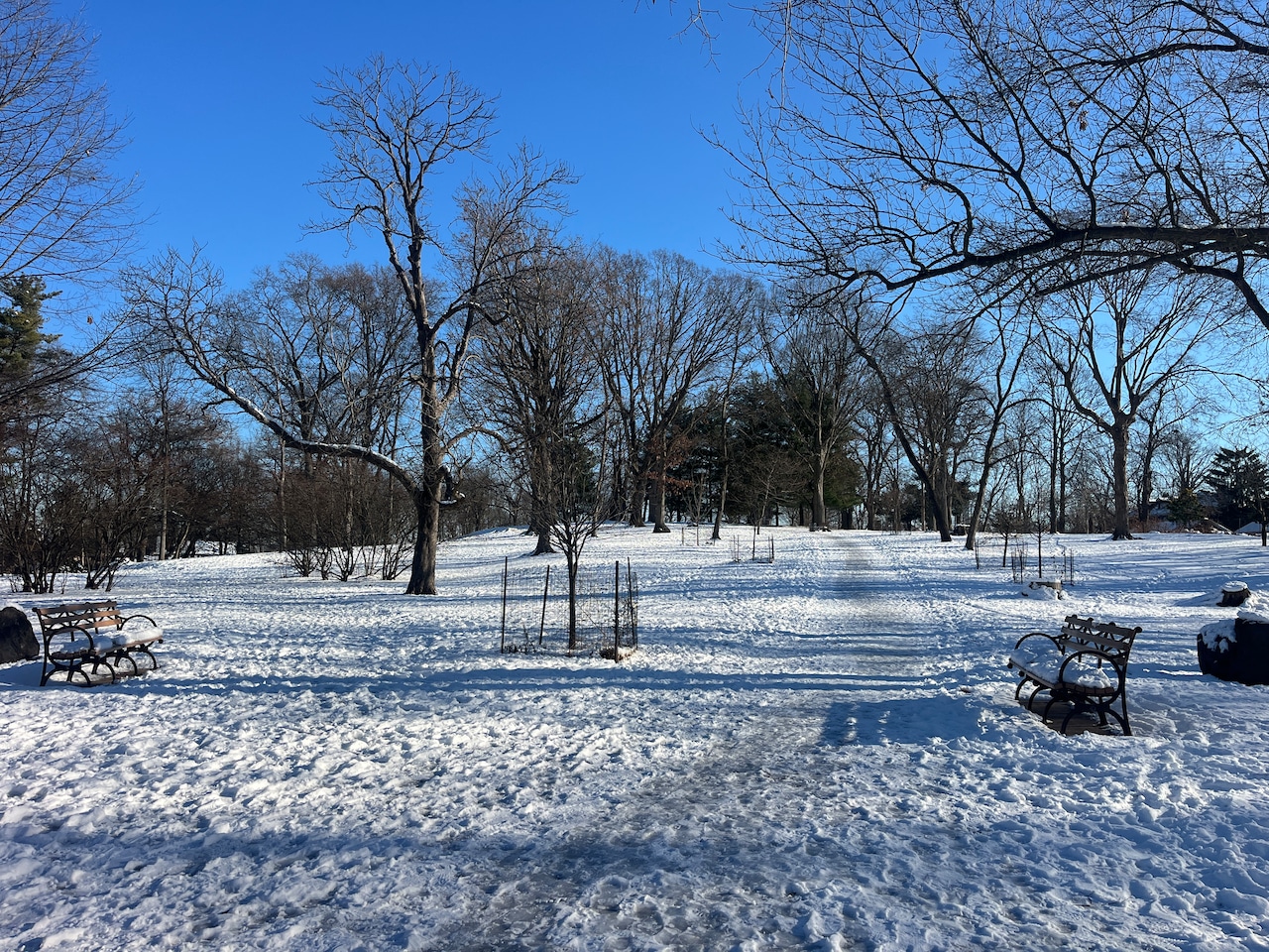 Snow and ice at parks on Staten Island