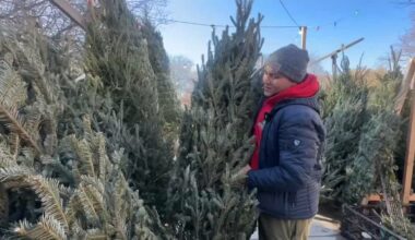 Honoring the legacy of longtime Christmas tree seller