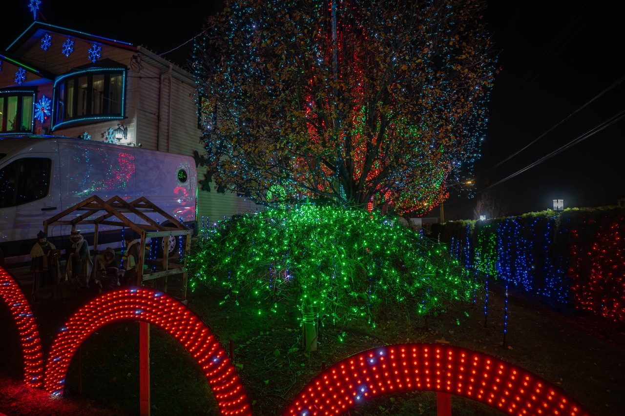 156 Gower Street in Meiers Corners