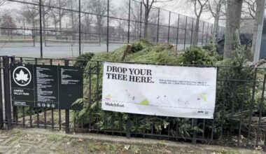 From now through Sunday, Jan. 11, anyone with a live tree can bring it to a designated park or drop-off site during park hours to be recycled. (Spectrum News NY1)