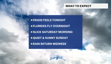 A frigid feel followed by light flurries in Brooklyn