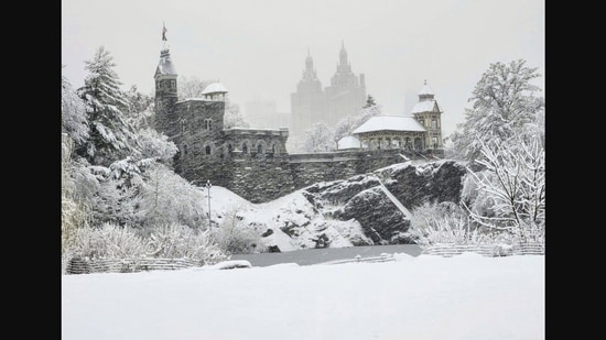 A scene from Central Park in NYC. (X/@BirdCentralPark)
