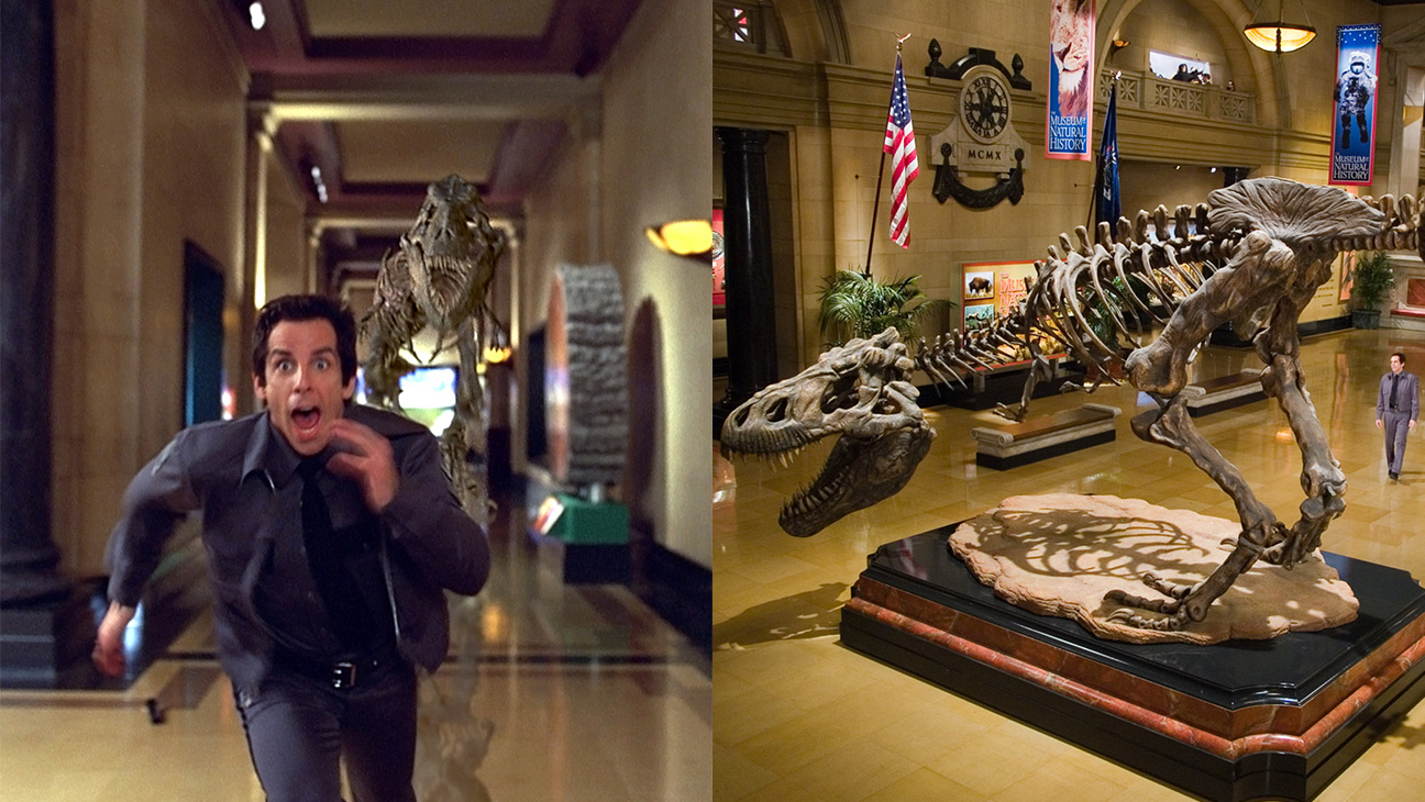 Night At the Museum and American Museum of Natural History