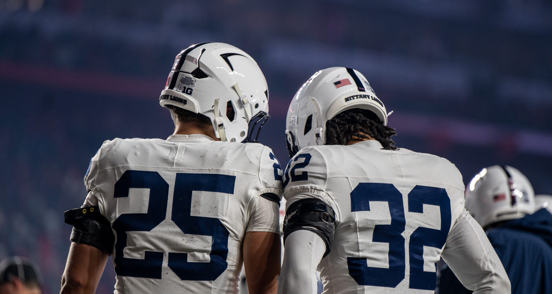 What To Do In The Bronx For The Pinstripe Bowl