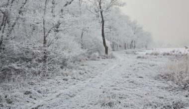 New York State Parks waive parking fees for New Year’s Day Hiking events