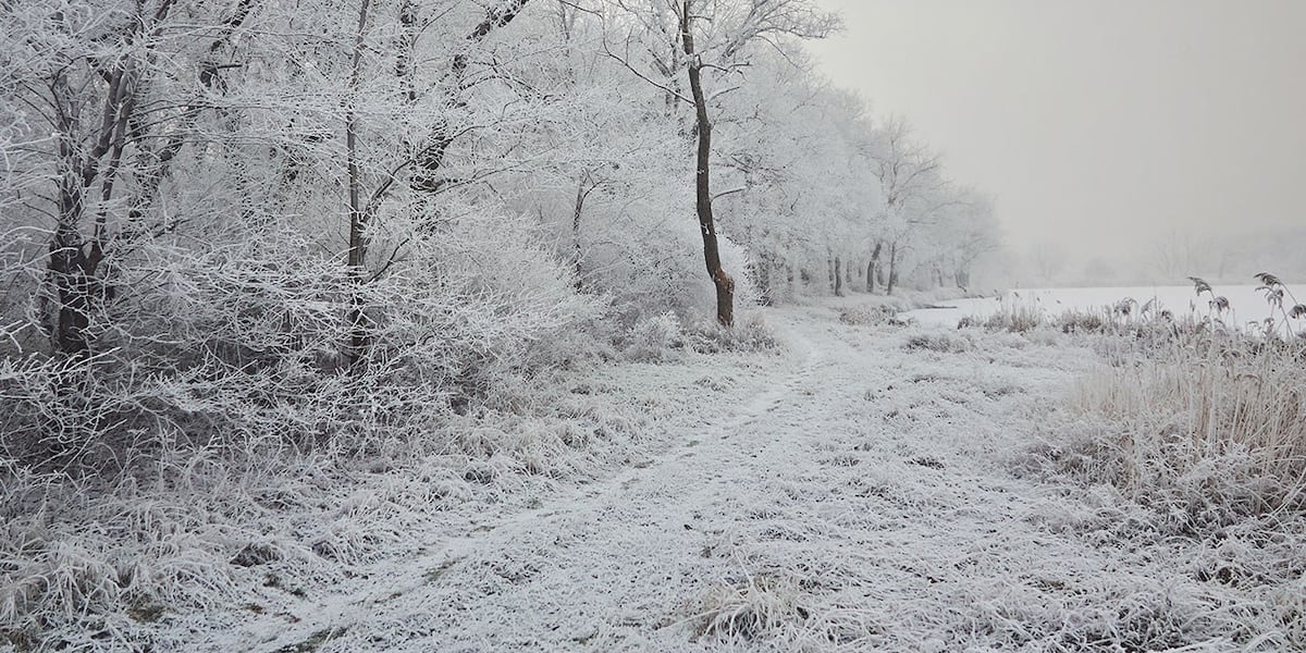 New York State Parks waive parking fees for New Year’s Day Hiking events