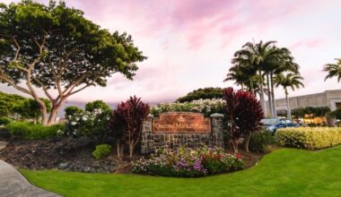 Aloha State Daily logo