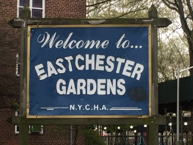 The Eastchester Gardens public housing in the Williamsbridge section of the Bronx. (Anthony Delmundo / New York Daily News)