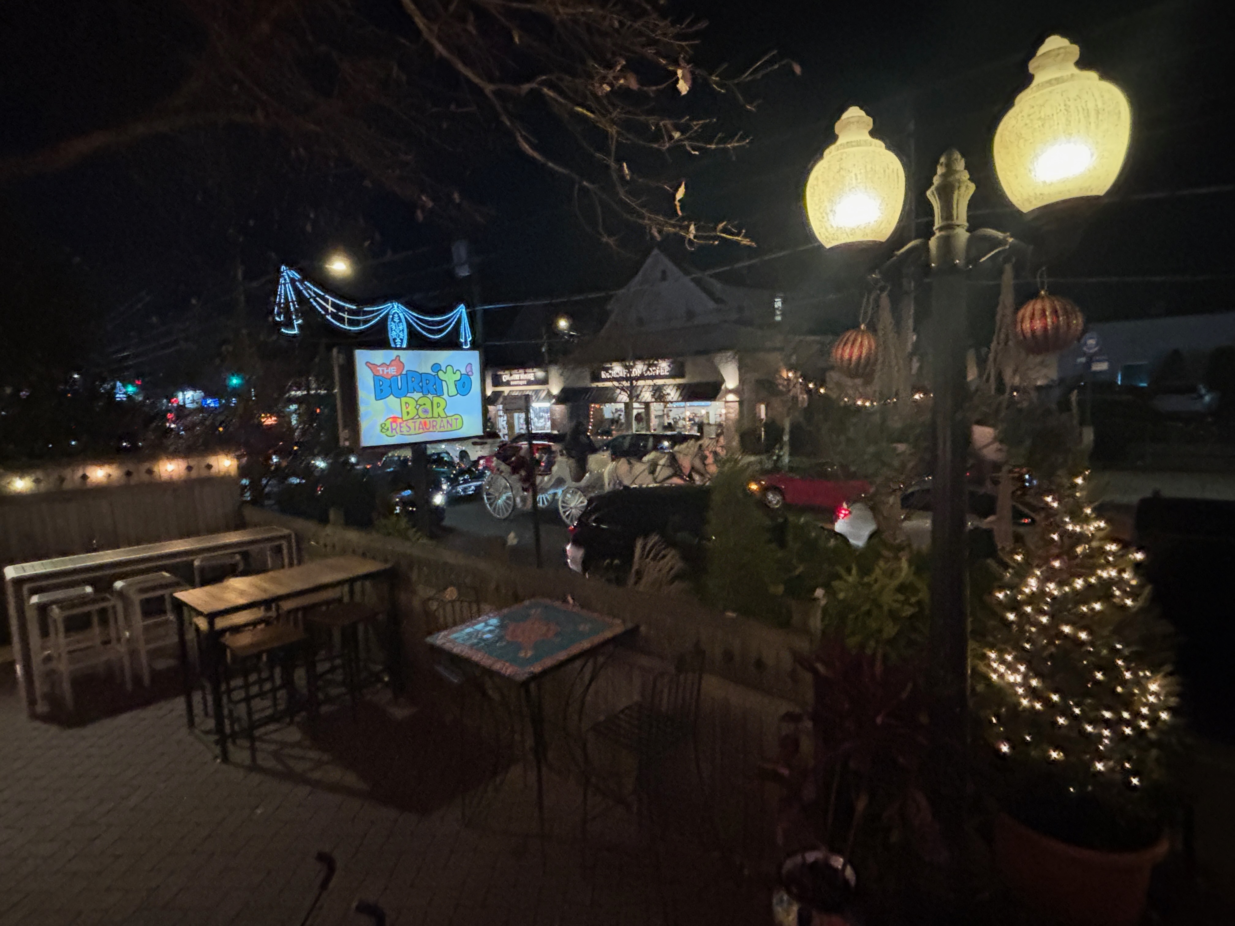 Forest Avenue's 20th annual Holiday Stroll featured Santa, a Cold Supermoon, and heartfelt testimonials about the tight-knit West Brighton community.