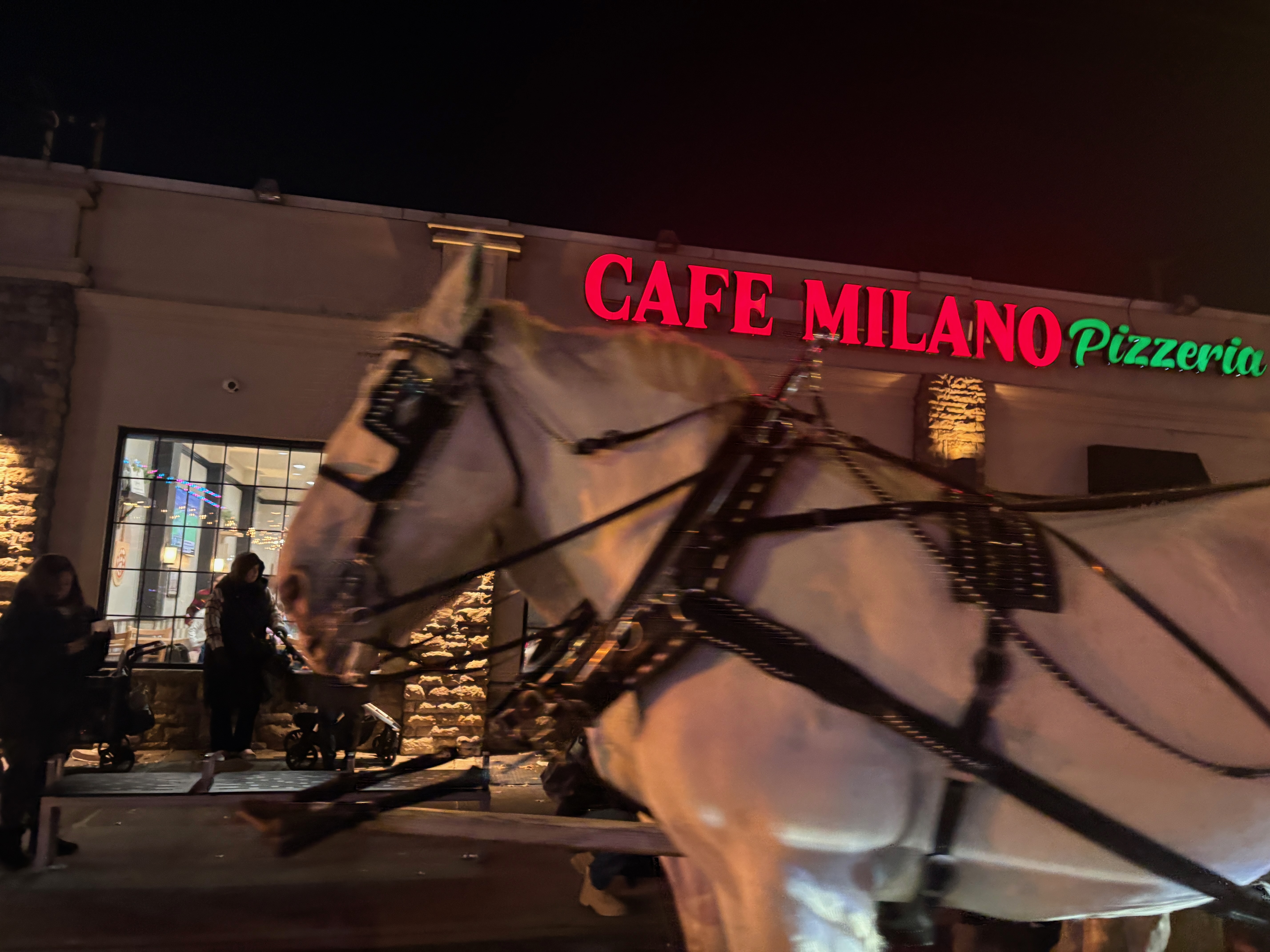 Forest Avenue's 20th annual Holiday Stroll featured Santa, a Cold Supermoon, and heartfelt testimonials about the tight-knit West Brighton community.