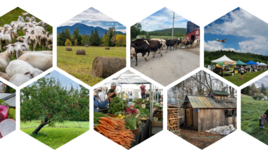 Adirondack food network plans agricultural service provider gathering, food justice summit