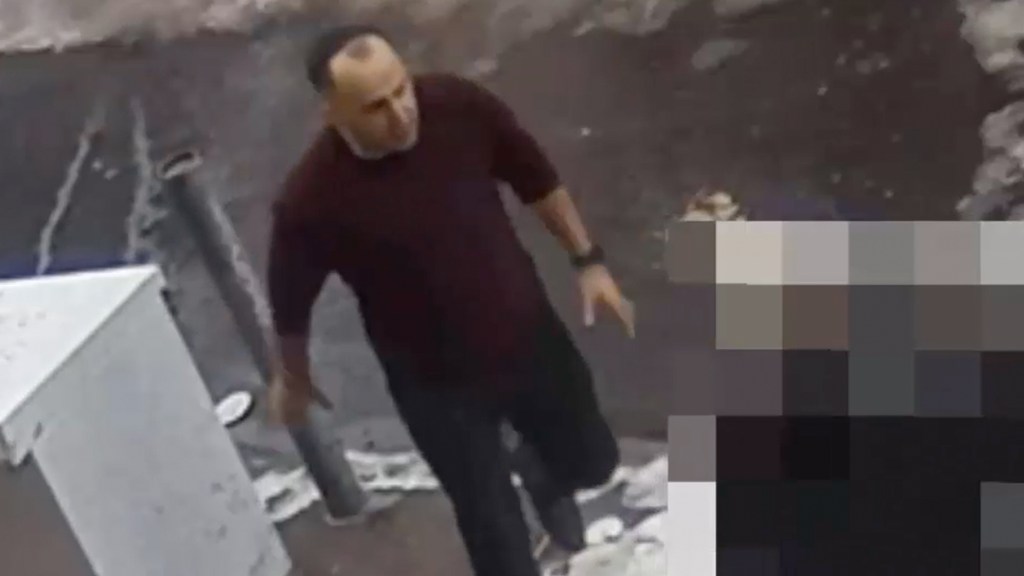 Brooklyn driver mad snowball thrown at his minivan attacks 10-year-old boy