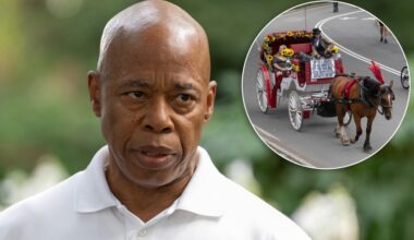 Adams hiring outside vet to examine Central Park carriage horses seen as assault on industry