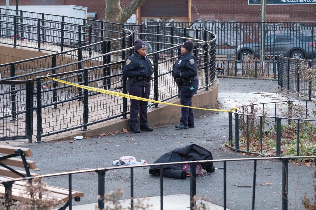 12-year-old boy clinging to life after stabbing in Brooklyn park