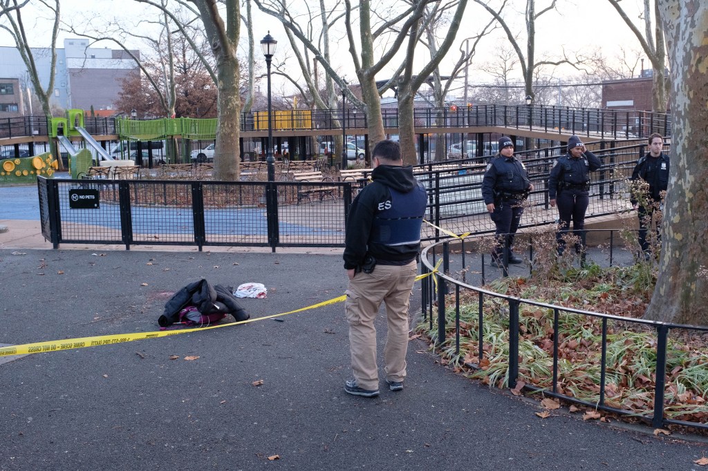 Brooklyn playground stabbing: 12-year-old boy arrested