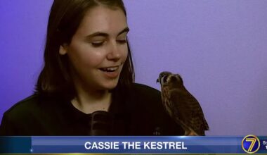 Zoo New York has a new animal ambassador