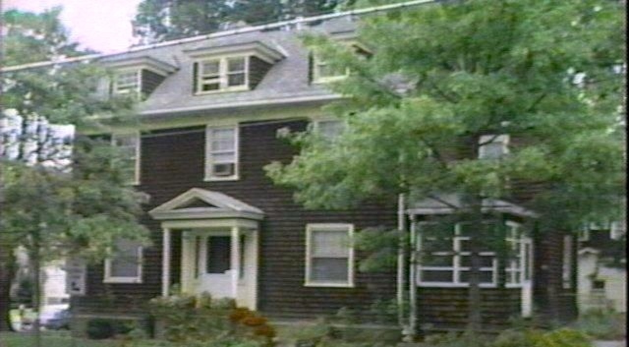 Forest and Clove, whats next?