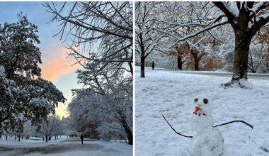 How to check if your medspa is legit, a nut recall, and more NY health news