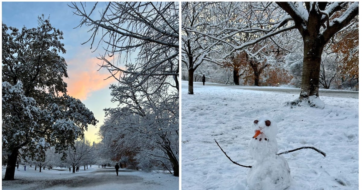 How to check if your medspa is legit, a nut recall, and more NY health news