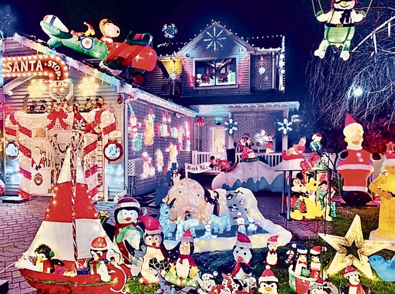 Holiday display doubles as a fundraiser for animal rescues