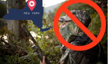 Why Hunting Is Currently Banned In New York