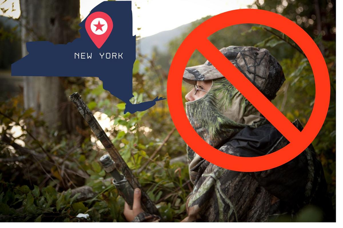 Why Hunting Is Currently Banned In New York