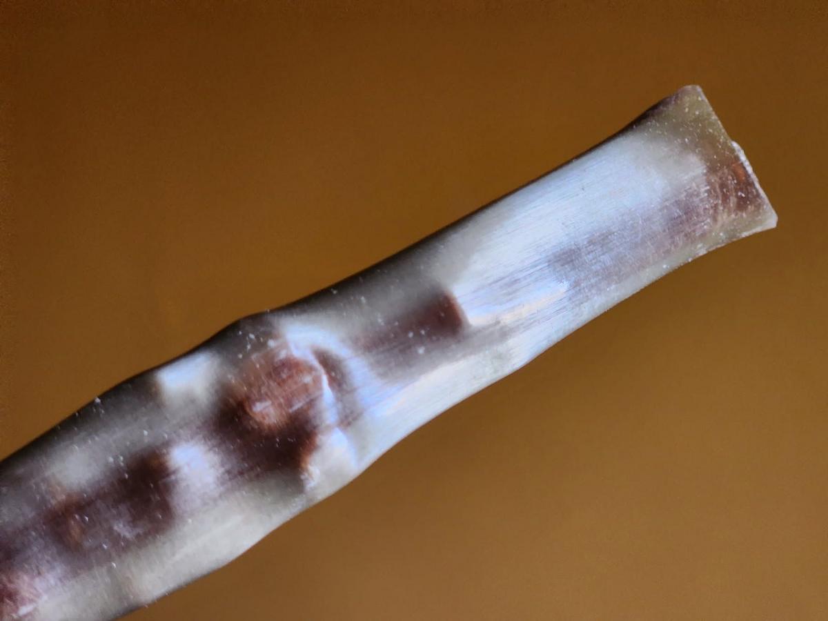 A Beloved New York Holiday Tradition