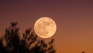 Extreme Super Moon Will Be Visible In New York State