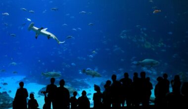 Unique "Underwater Restaurant" Coming to Western New York in 2026