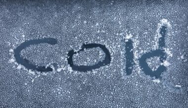 What's The Cold Hometown & Coldest Temps Ever In New York