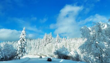 Pre-Christmas Snow Could Ruin Christmas Plans in New York