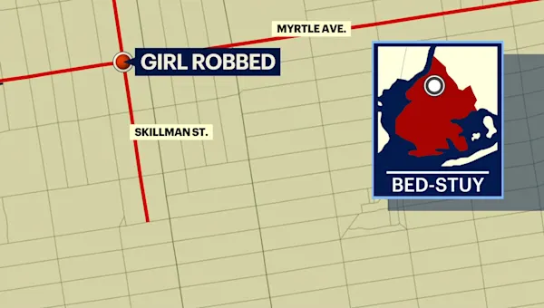 9-year-old girl robbed of scooter in Bed Stuy