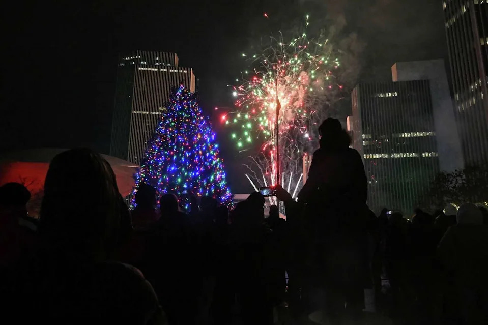 Fireworks light up the sky above the Empire State Plaza during the New York State Tree Lighting and Firework Festival on Sunday in Albany. (Lori Van Buren/Times Union)