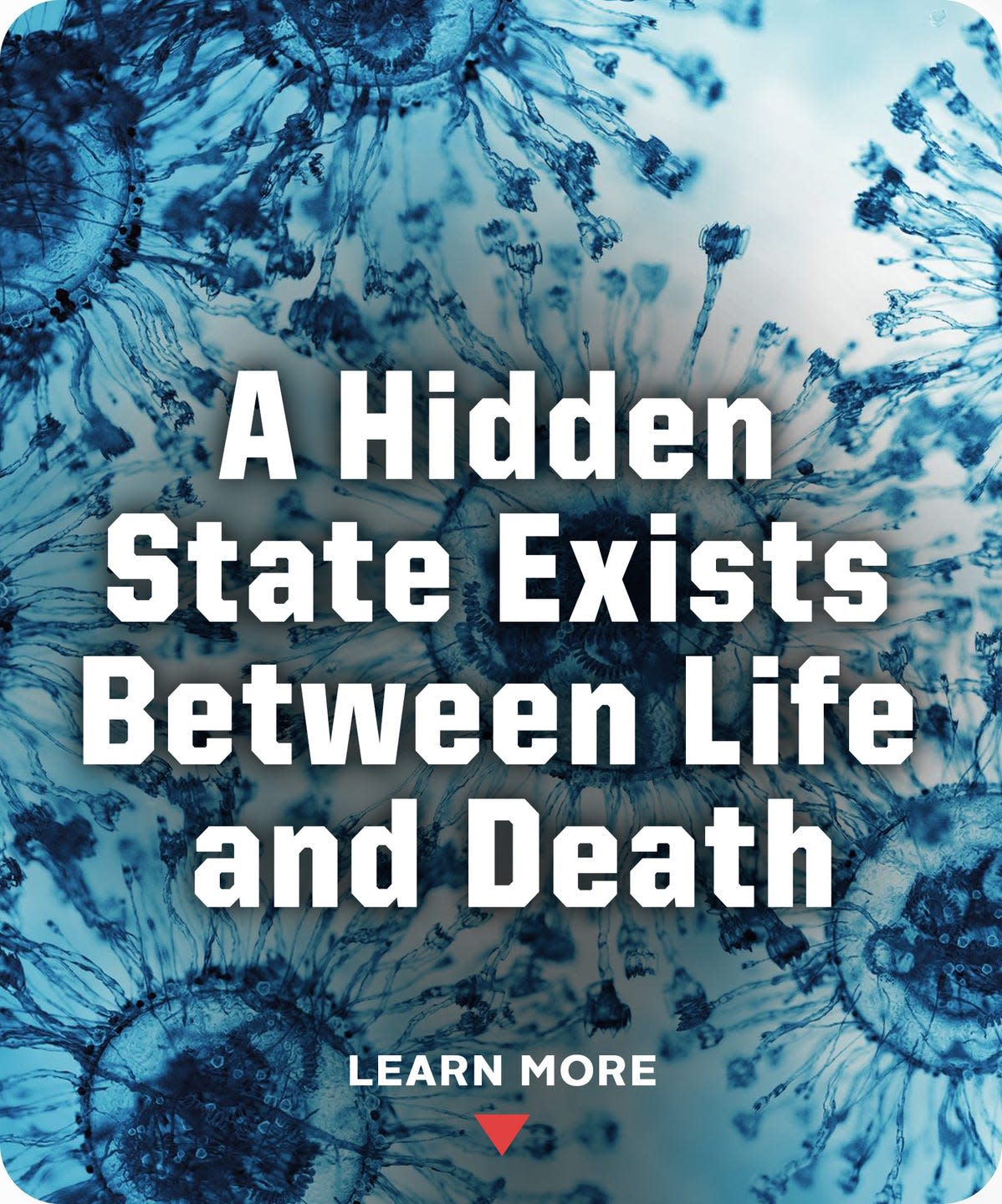 Photo credit: Hearst Owned