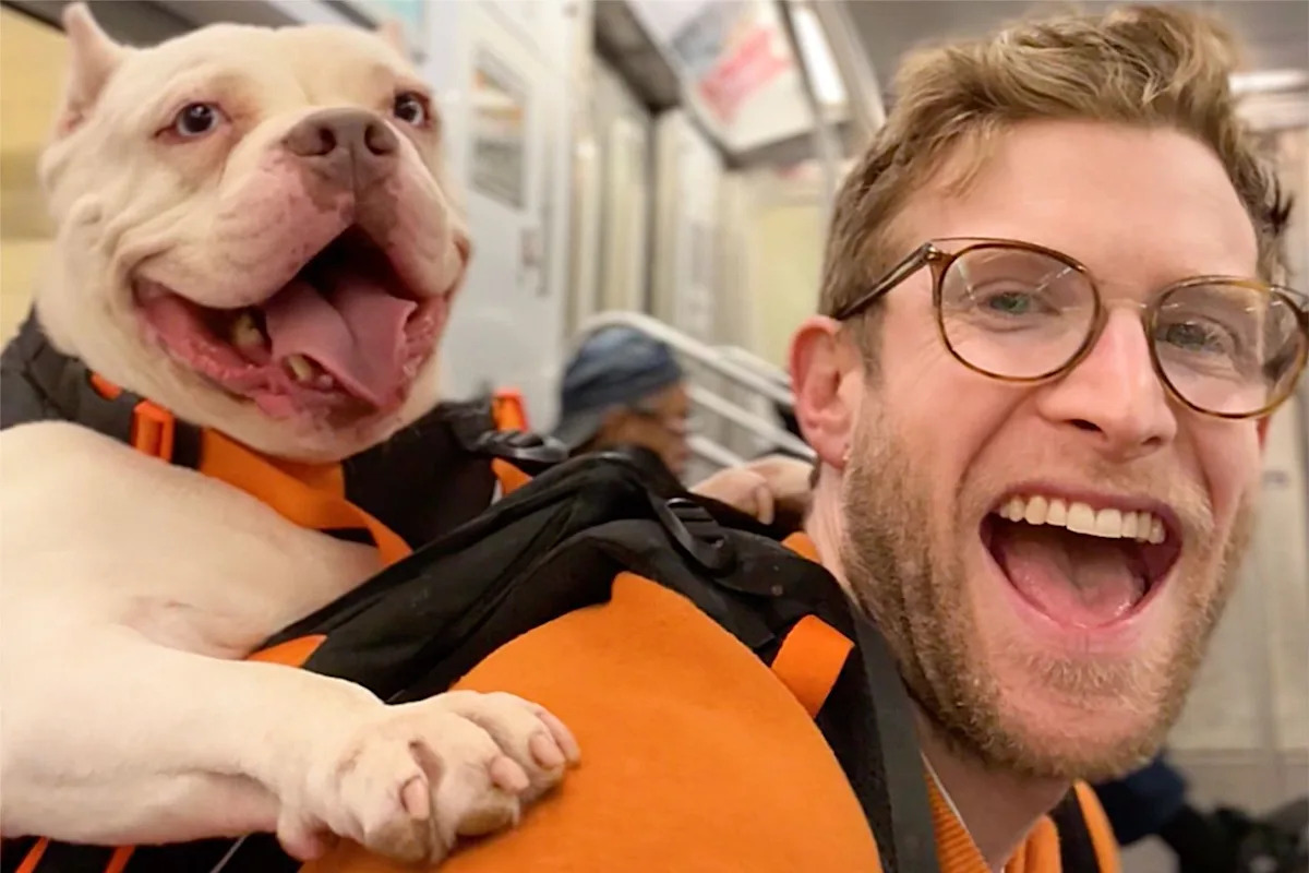Rescue Dogs Find Adoption Success After Going for Rides in N.Y.C. Influencer's Viral Backpack (Exclusive)