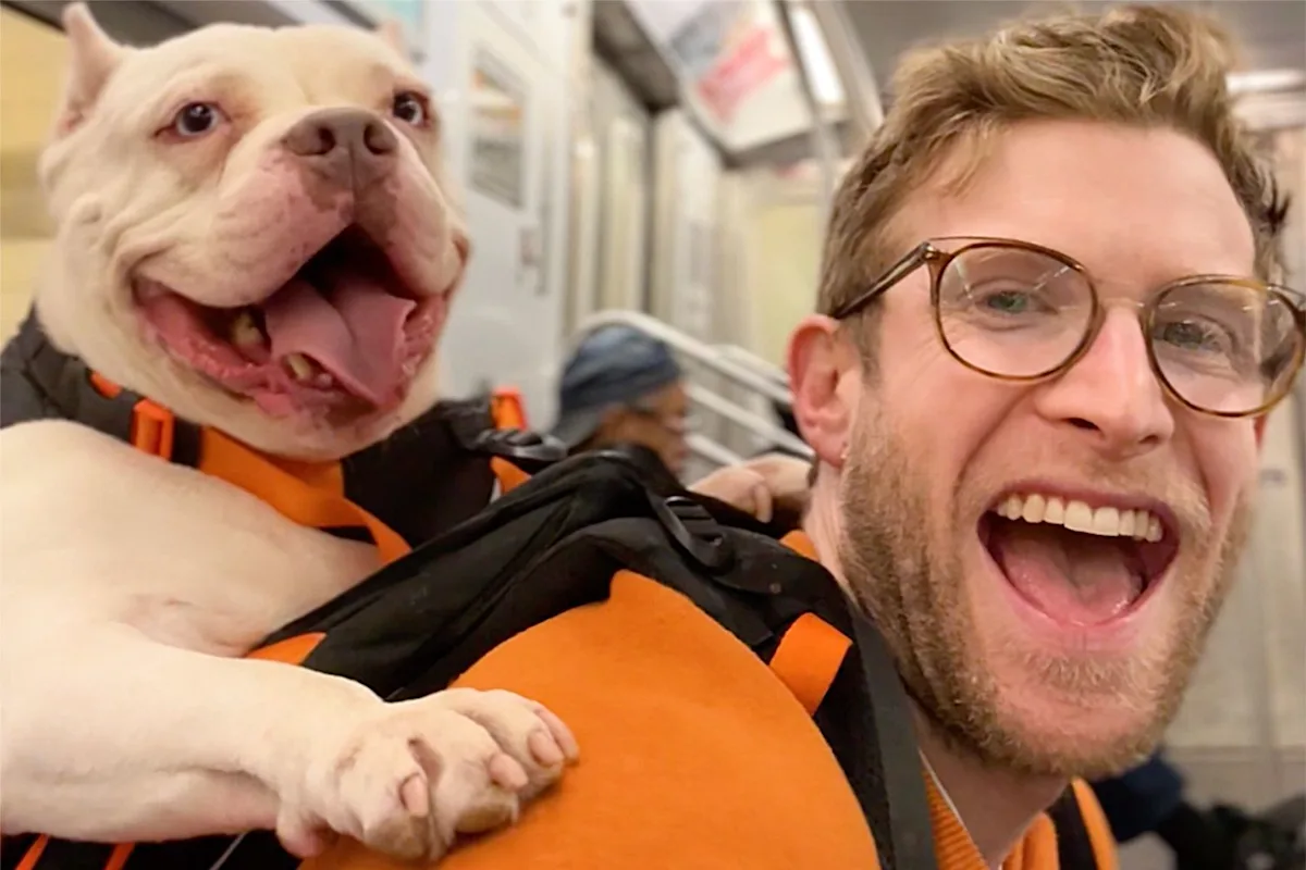 Rescue Dogs Find Adoption Success After Going for Rides in N.Y.C. Influencer's Viral Backpack (Exclusive)