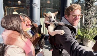 NYC influencer takes shelter dogs on subway adventures to help them find homes