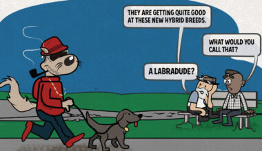 Things Are Getting Weird on the Upper West Side