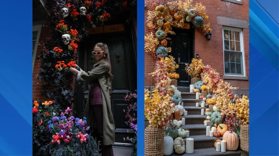 (Credit: Stoop & the City)