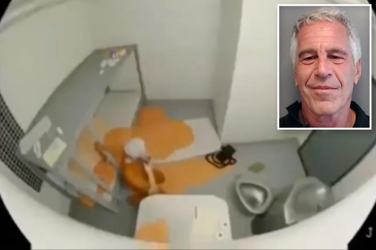 DOJ releases shocking fake video of Jeffrey Epstein suicide as part of file dump