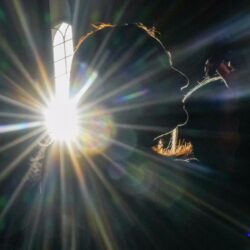 A woman takes part in a Christ of May procession in Santiago, Chile, parading a relic from a destroyed church’s crucifix through the city. AP Photo/Esteban Felix