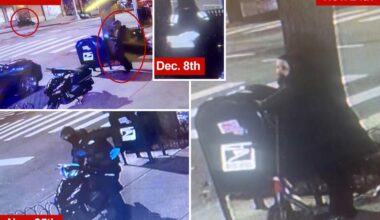 Exclusive | Scooter-riding grinches keep stealing from mailbox in NYC's Greenwich Village, video shows