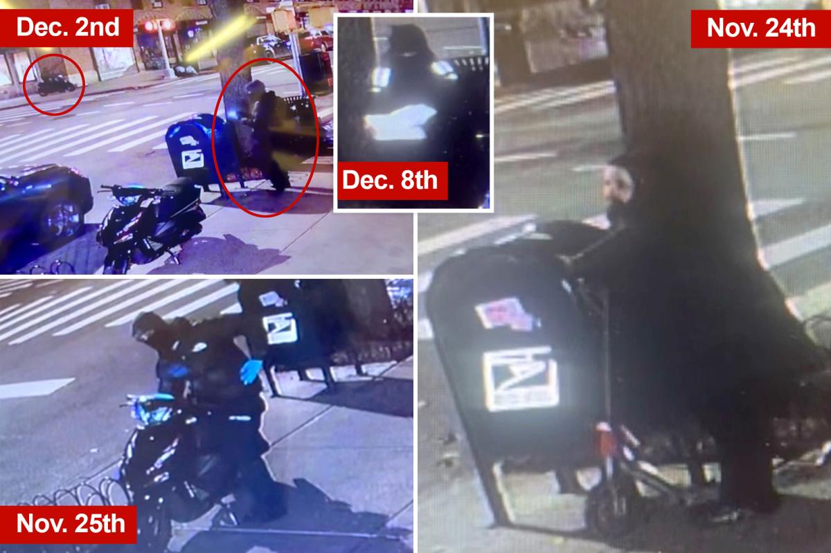 Exclusive | Scooter-riding grinches keep stealing from mailbox in NYC's Greenwich Village, video shows