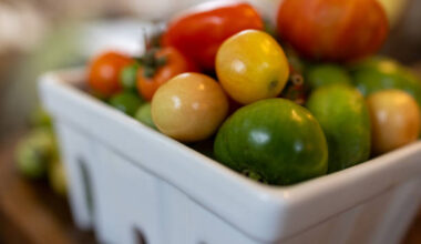 Why food insecurity in the Bronx is a crisis – Bronx Times